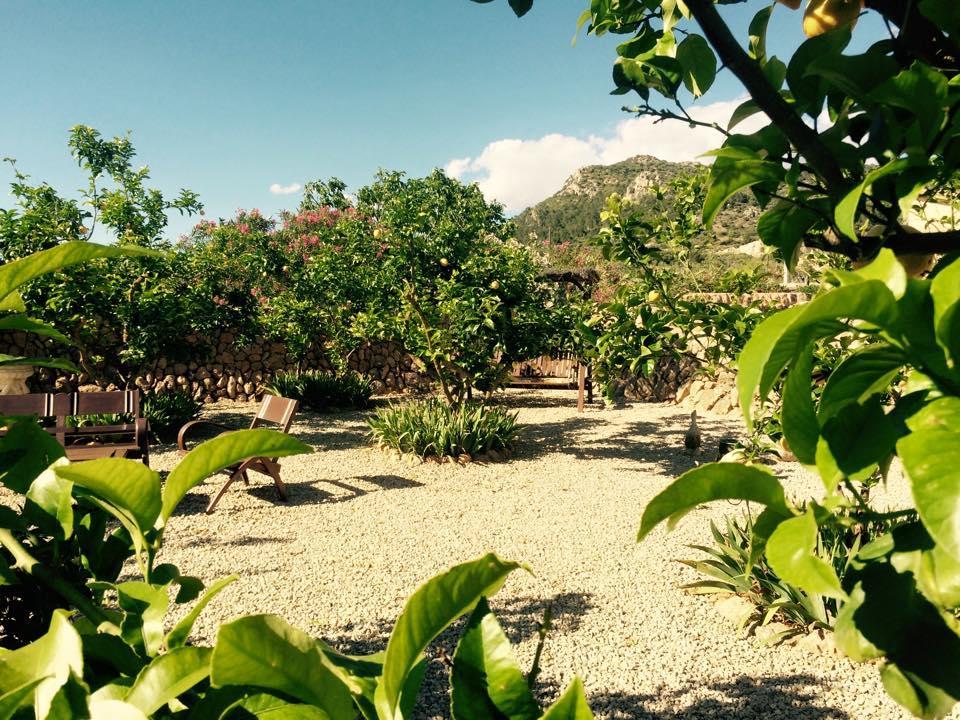 Finca Can Paulino (Adults Only) Llucmajor  Rum bild