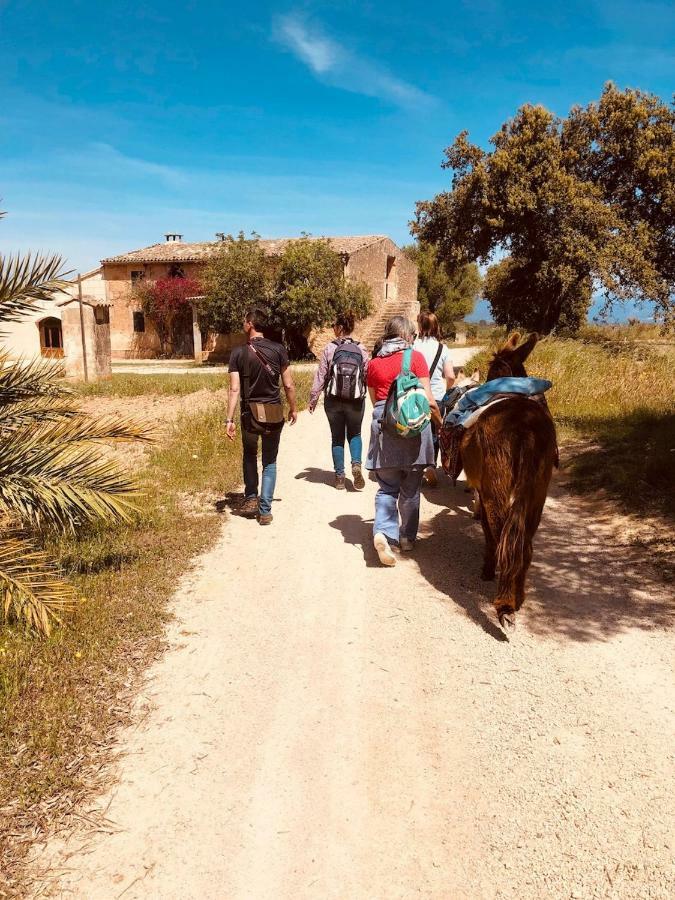Finca Can Paulino (Adults Only) Llucmajor  Exteriör bild